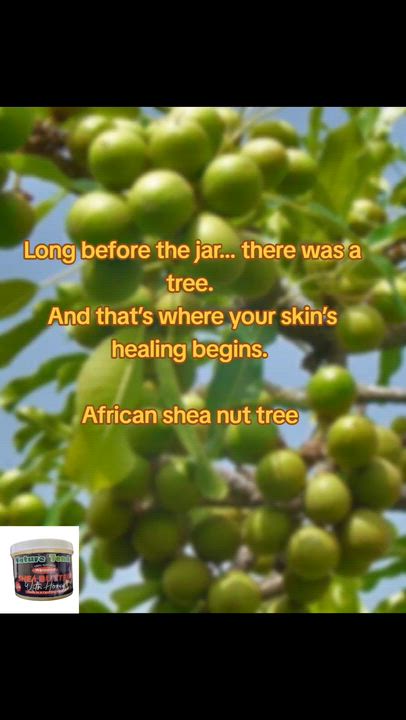 Long before the jar… there was a tree. 
And that’s where your skin’s healing begins. 
African shea n...