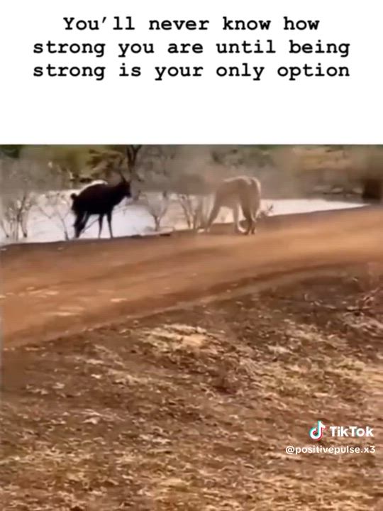 You will never know how strong you are until strong is your only option...