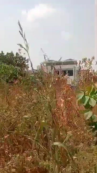 RESIDENTIAL LAND IN GUZAPE MAIN ABUJA FOR SALE

★DETAILS★

LAND SIZE:2257sqm

👉🏼Fenced and gated...