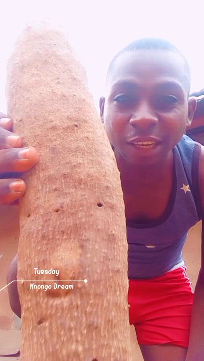 Buy yam is good for planting