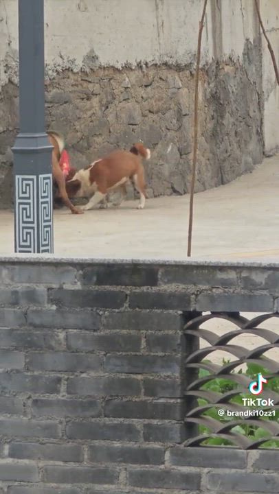 Post by nsikan udosen
