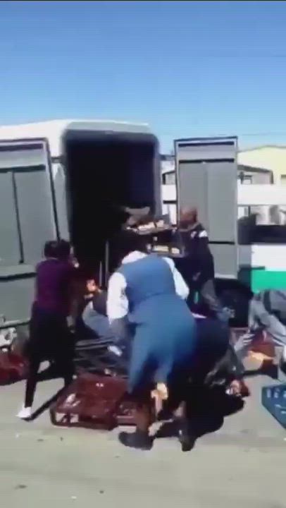 Video of South Africans looting bread from Van delivering at a foreigner's Spaza shop in Durban