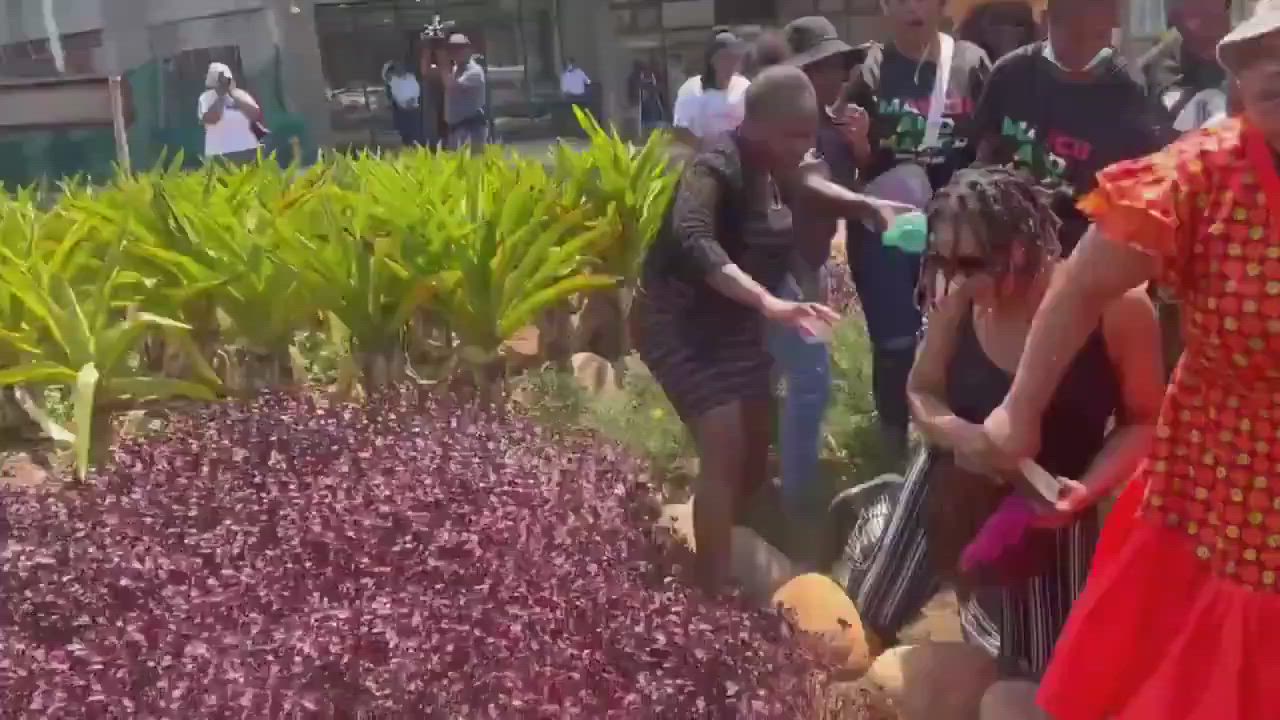Video of a Nigerian woman with bible being assaulted by South African women