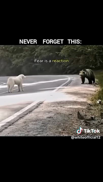 Fear is a reaction