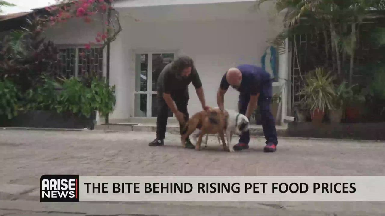 The Bite Behind Rising Pet Food Prices

Pet owners and pet shops in Nigeria are feeling the pinch...