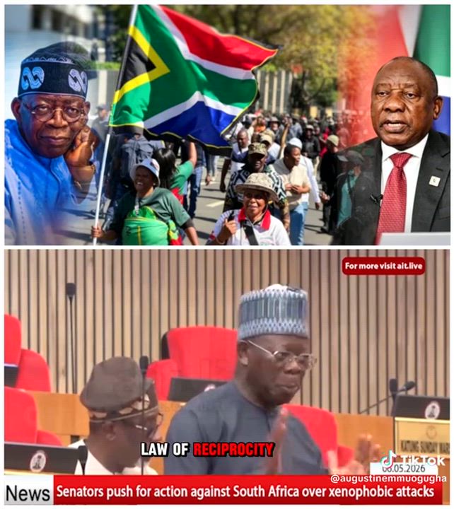 Nigeria Government too dey sleepy