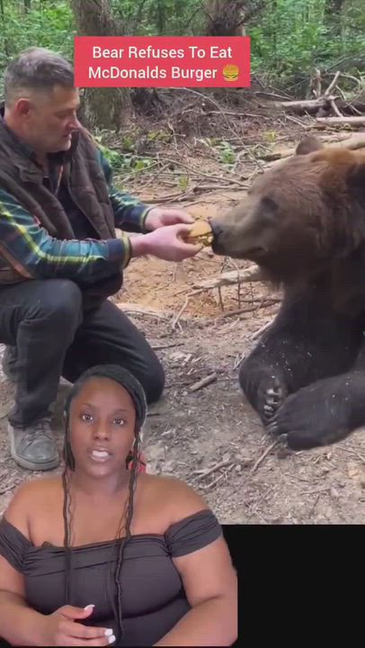 Bear smells McDonald’s… and immediately ghosts it, acting like Nature’s health inspector just filed...