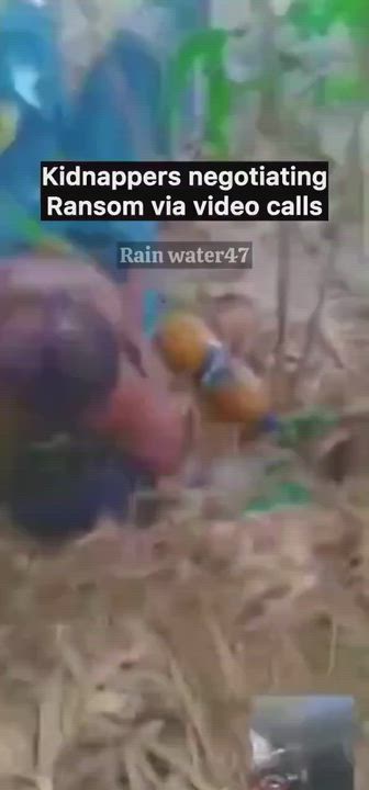 Video of Kidnappers on video call demanded for ransom from family of victims while beating them. Thi...