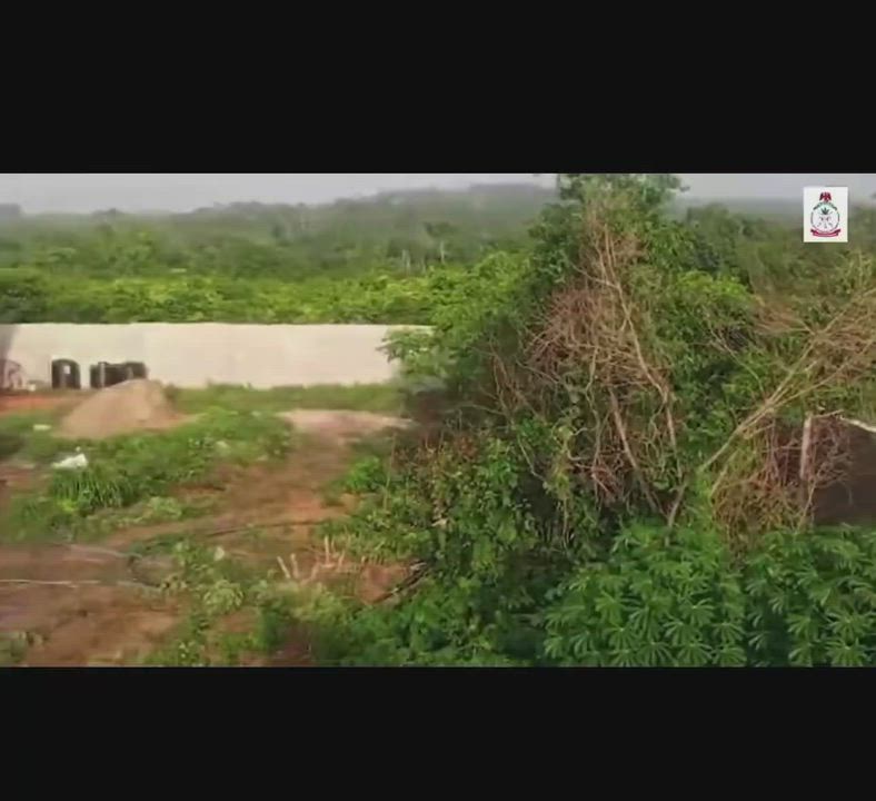Mexican Drug Barons and Nigerians have been arrested In Nigerian Forest
