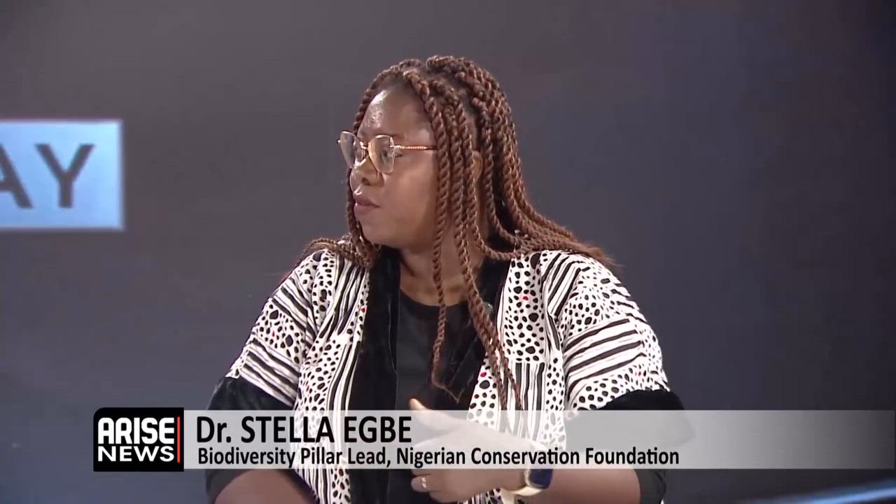 Nigeria Faces A Growing Environmental Crisis That Demands Action- Egbe

When we think about issues l...