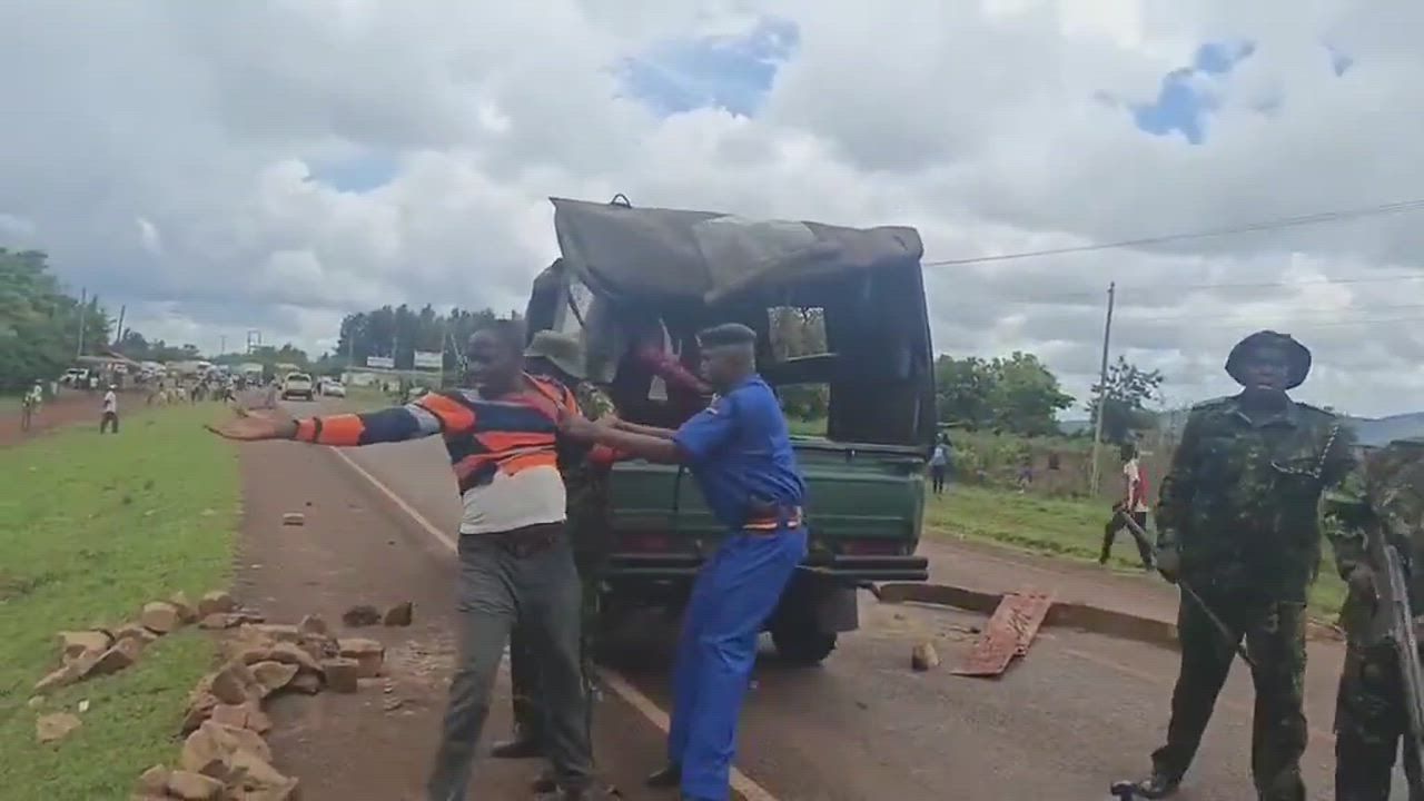 As the police were busy struggling with this guy, another suspect in the cruiser got tired of waitin...