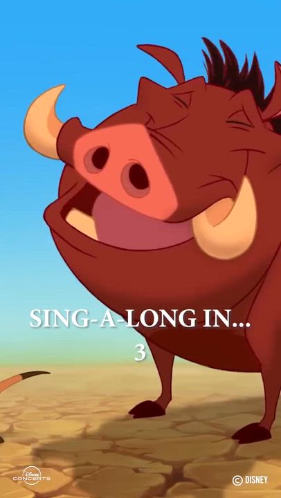 HAKUNA MATATA!!!