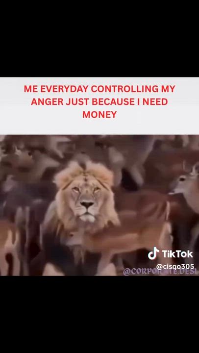 Post by Minister of Enjoyment
