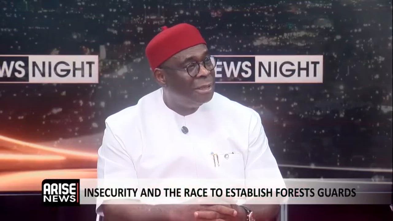 The Duties of Forest Guards Cannot Tackle the Level of Insecurity We Have in Nigeria - Udensi

Will...