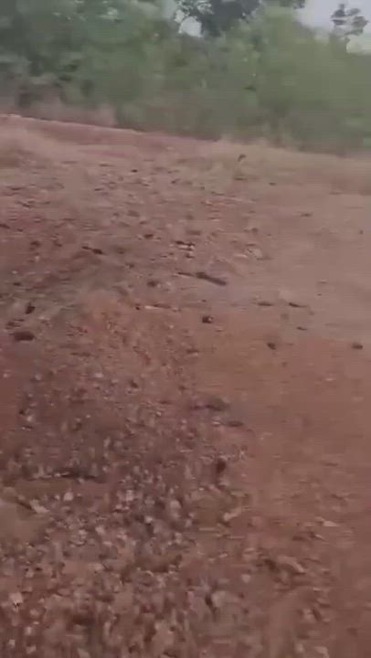 🚨🔥 👮‍♂️Nigerian Police in the heat of battle in Zamfara as IED rocks Bagega-Anka Road, Zamfara ye...