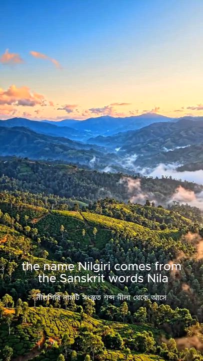 🌄 Discover the enchanting Nilgiris, India's famous Blue Mountains! From ancient tribal heritage to...