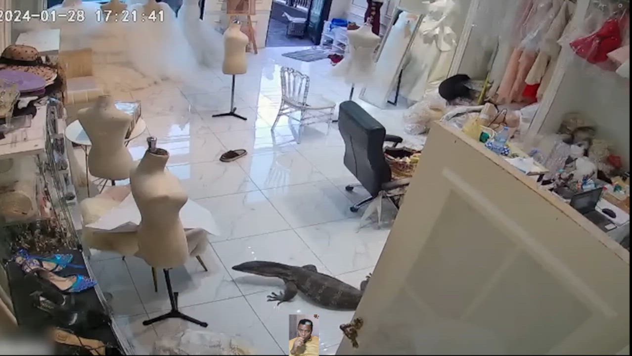 The Most Unexpected Moments Caught on CCTV - Part 2
