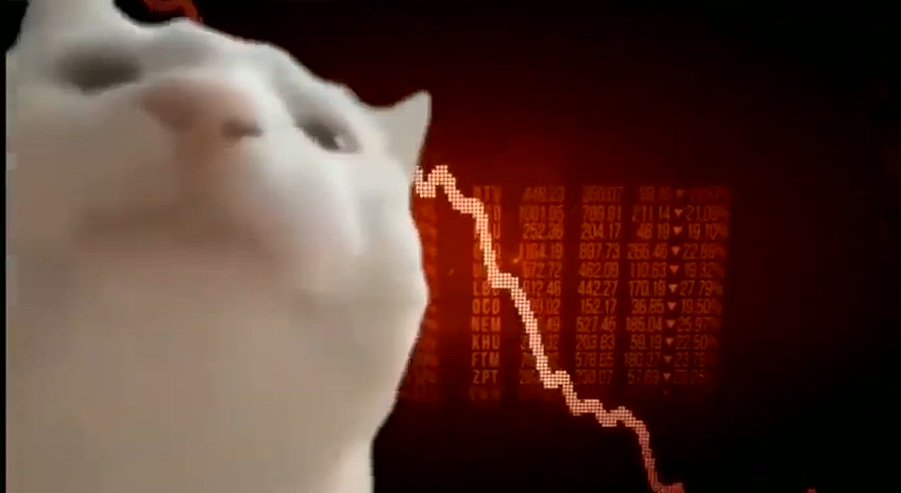 A live look at the crypto market this year

#crypto #market