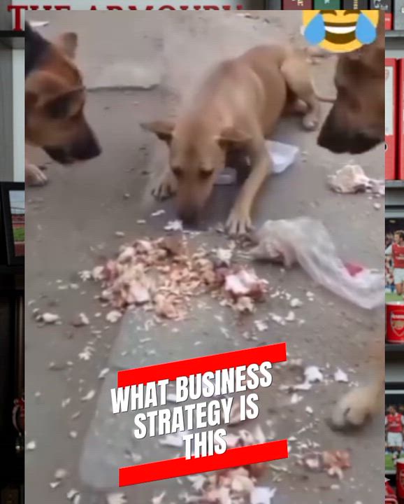 What business strategy is this?