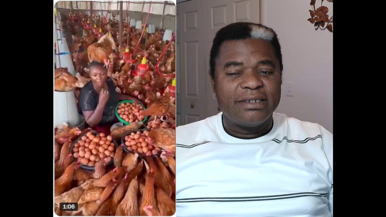 Video showing a poultry farmer referring to her chickens(hens)as “girls,” and people can’t stop talk...