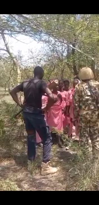 G¥nmeπ a++acked a secondary school in Lassa, between Adamawa and Borno. They kpaied  two teachers an...