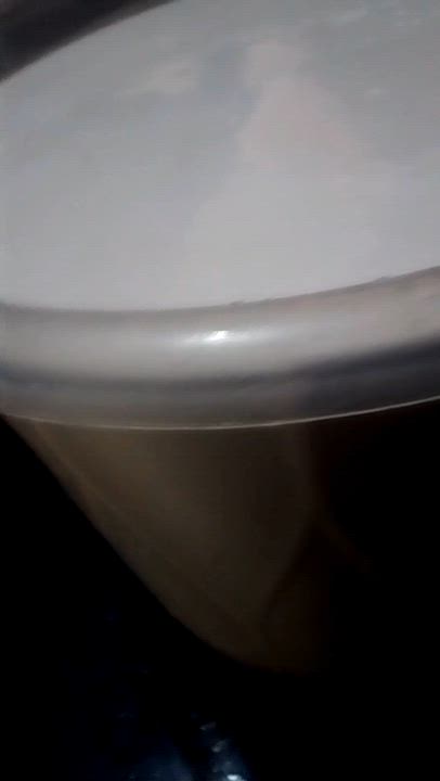 First stage of semi cold pressed coconut oil process
