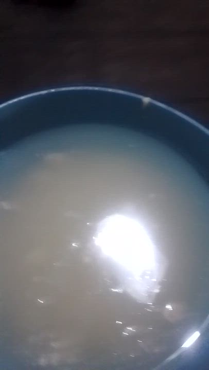Second stage of semi cold pressed coconut oil making.