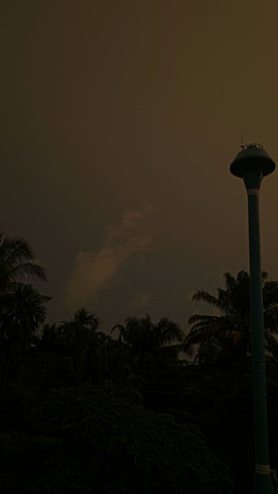 Goood Morning! 
|I've never seen a sky this yellow during a sunrise. 
It was as if somebody turned o...