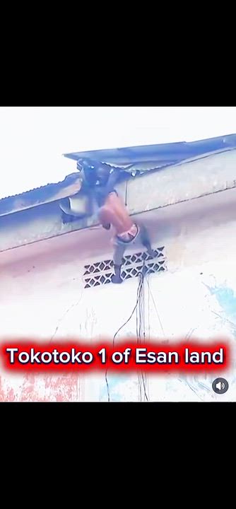 A suspected notorious criminal and alleged drug baron was reportedly caught attempting to flee throu...