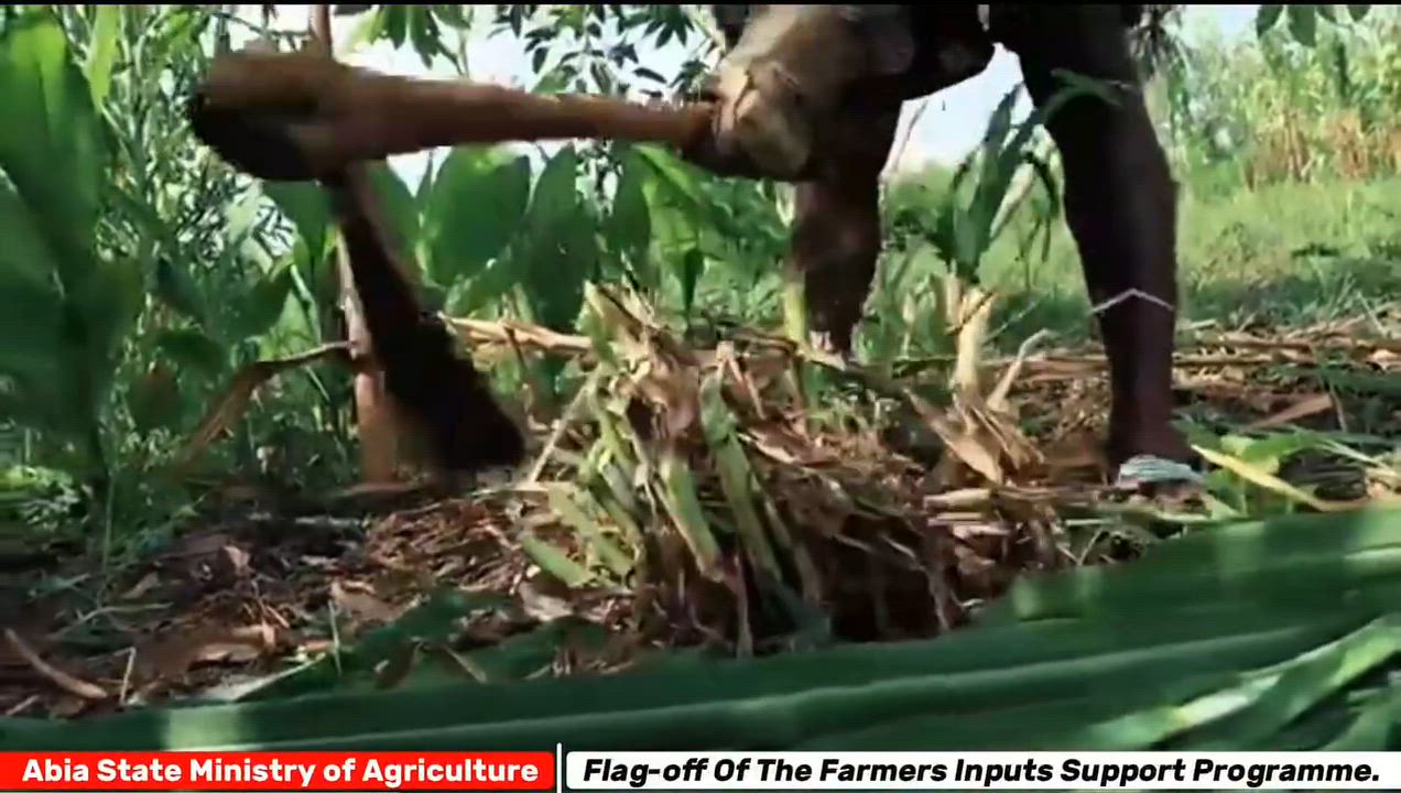 Empowering over 17,000 farmers in Abia State. Join the People’s Governor of Abia State Dr Alex C. Ot...