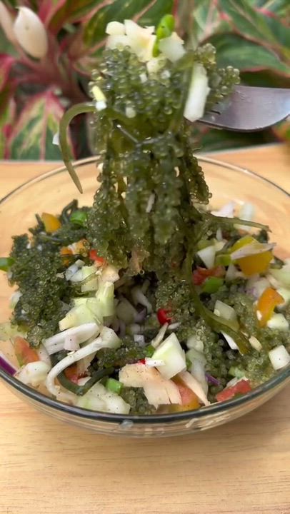 Sea Grapes! Fresh, nutritious, and straight from the sea! Sea grapes are a tasty way to add more nut...