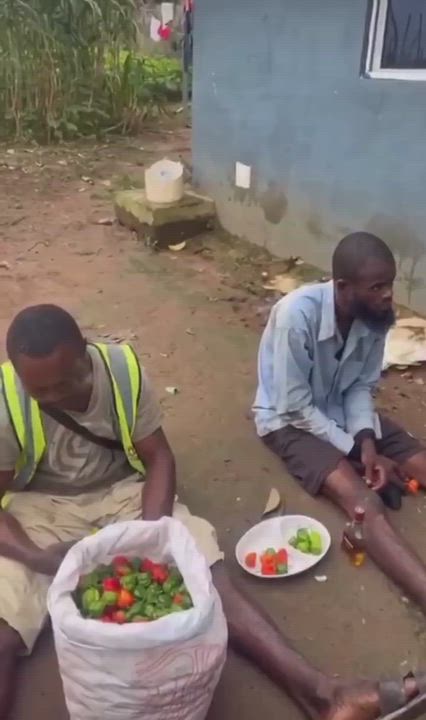 They were allegedly caught steåling pepper from a farm and were forced to eat pieces of pepper each...
