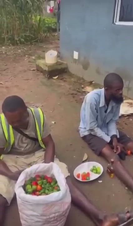 They were allegedly caught steåling pepper from a farm and were forced to eat pieces of pepper each...