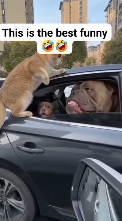 Fear