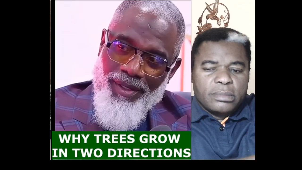 Why Trees Grow In Two Directions