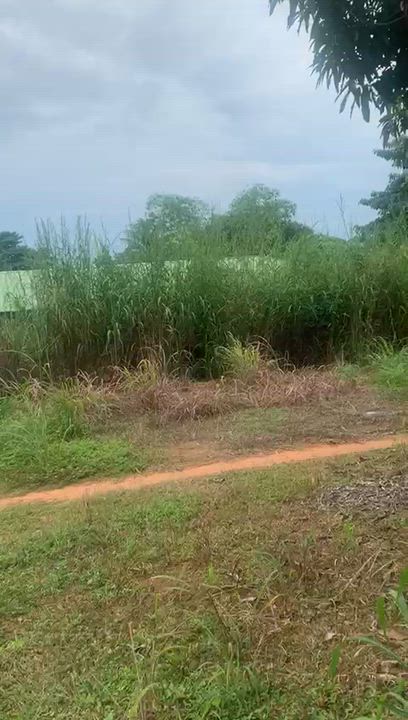 The look of general hospital Ajalli Orumba North LG. Anambra State... please help circulate until it...