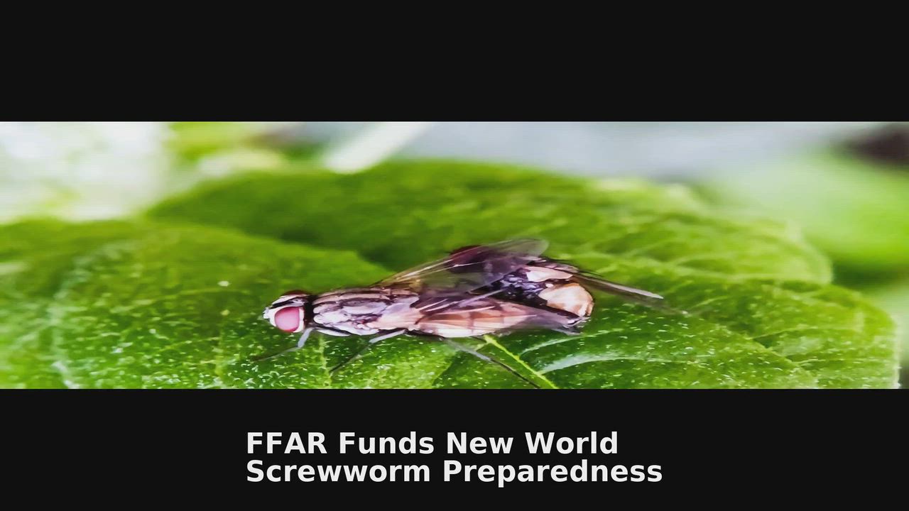 Top 10  Agriculture  headlines 🙄🚀 discussions:
1. Food and Farm Businesses Start Applying for Trum...