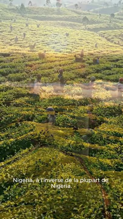 **Caption:**

Think you know Nigeria? Think again! 🇳🇬 Discover five surprising facts about the breat...