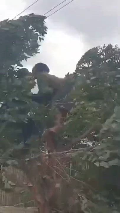 ADAM and EVE