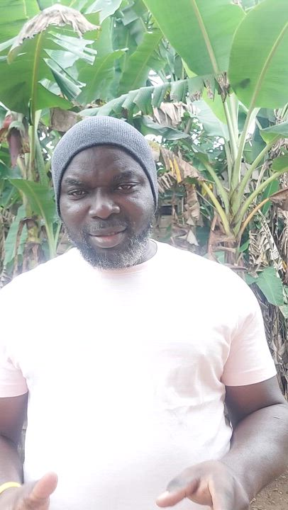 Merely wishing for Nigeria's improvement is insufficient; active participation in the process is ess...