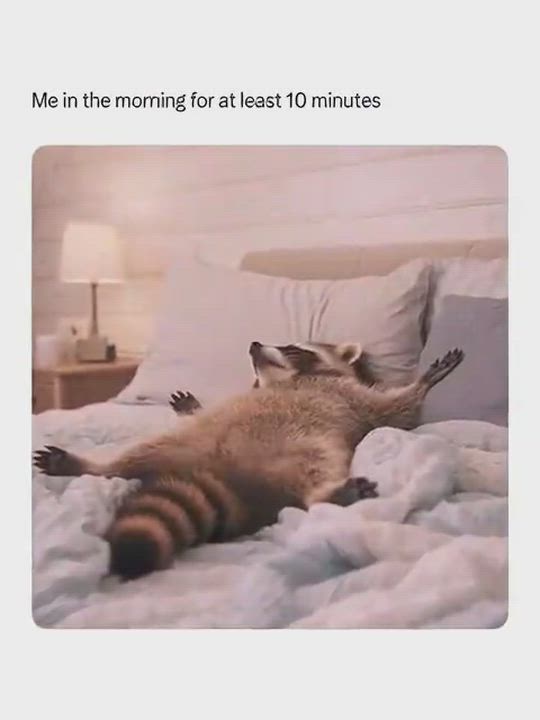 Waking up early isn't the issue... leaving the bed while it's raining outside is the real battle. ☔...