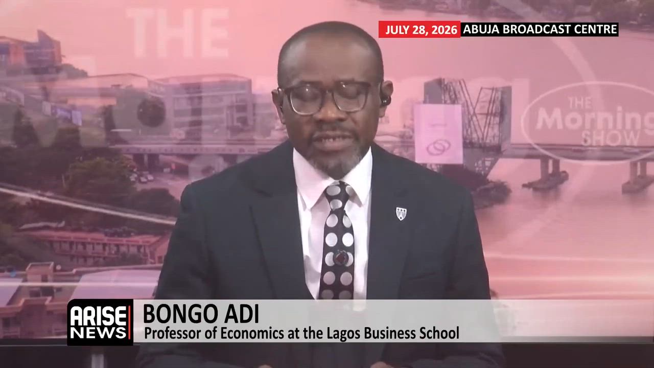 Domestic Financing: Government Must Emerge as a Strong State and Control Revenue - Adi

The argument...