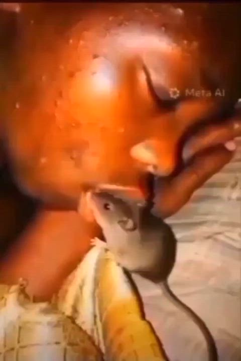 🤣🤣🤣🤣