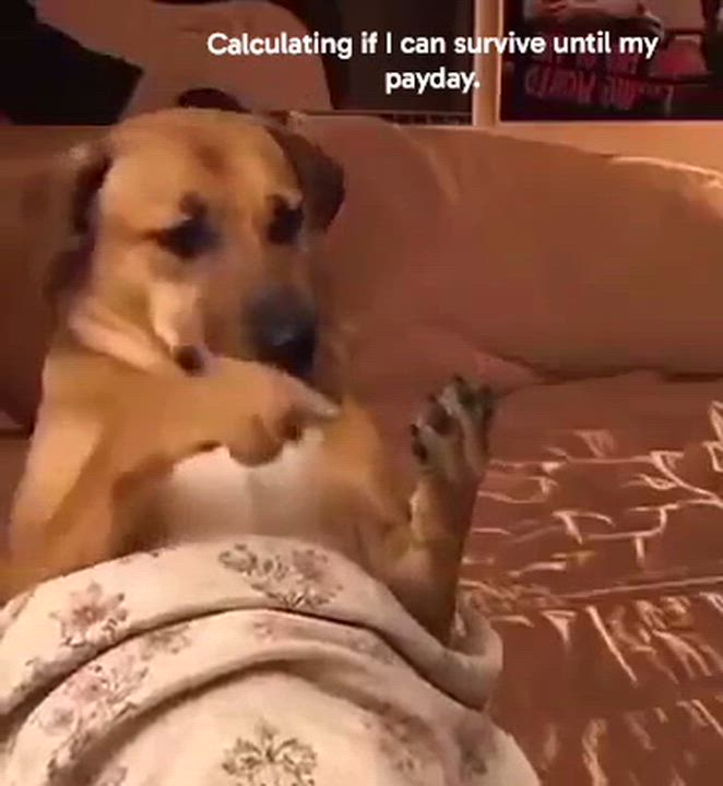 Can I fit?