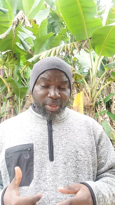 voters apathy toward Nigeria electoral systems.