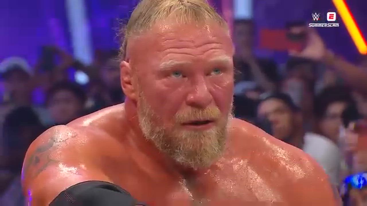 Lovers of WWE