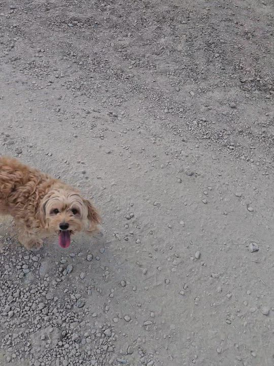 Holiday is finished, back in the villages and walking Mum's dogs. Normal service resumes tomorrow. W...