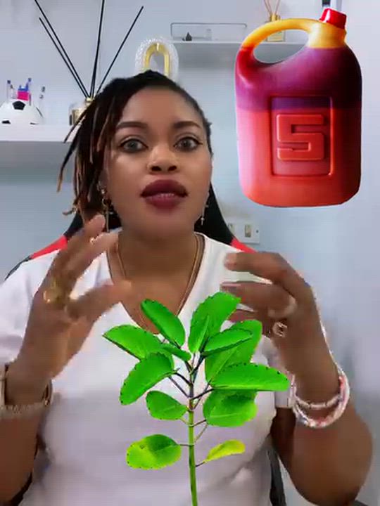 Remedy for Ulcer
Miracle Leaf and Red Oil

#LekeeLekee #Trending #Viral #NaijaPride #follow me