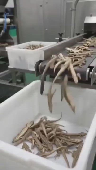 There is nothing nutritional about Noodles, avoid it at all cost.🕵️

How true can this be?
#Trending...