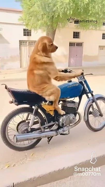 U want a ride???